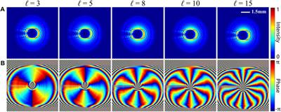 Theoretical study of vortex beam generation based on geometric coordinate transformation